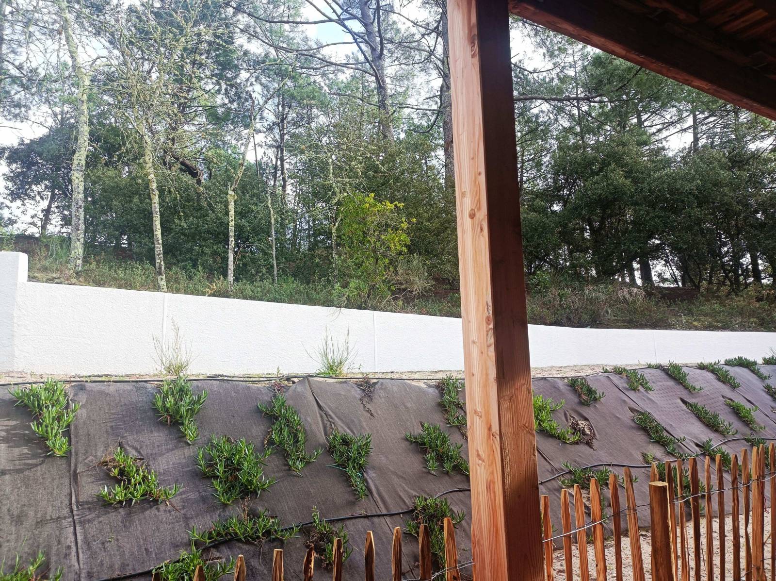 vue depuis la terrasse