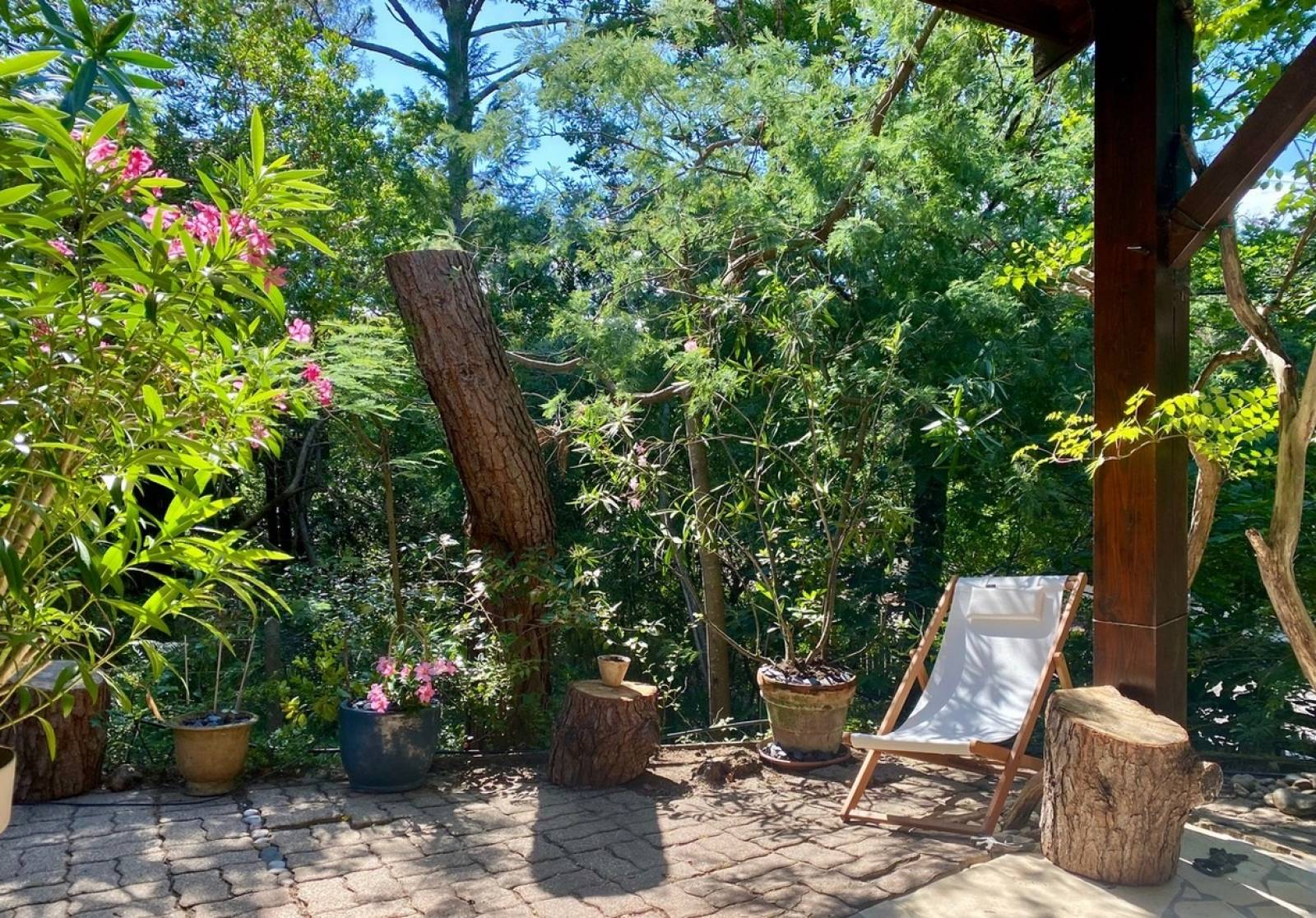 jardin