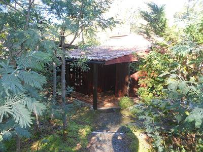 A vendre chalet aux forestières à Maubuisson