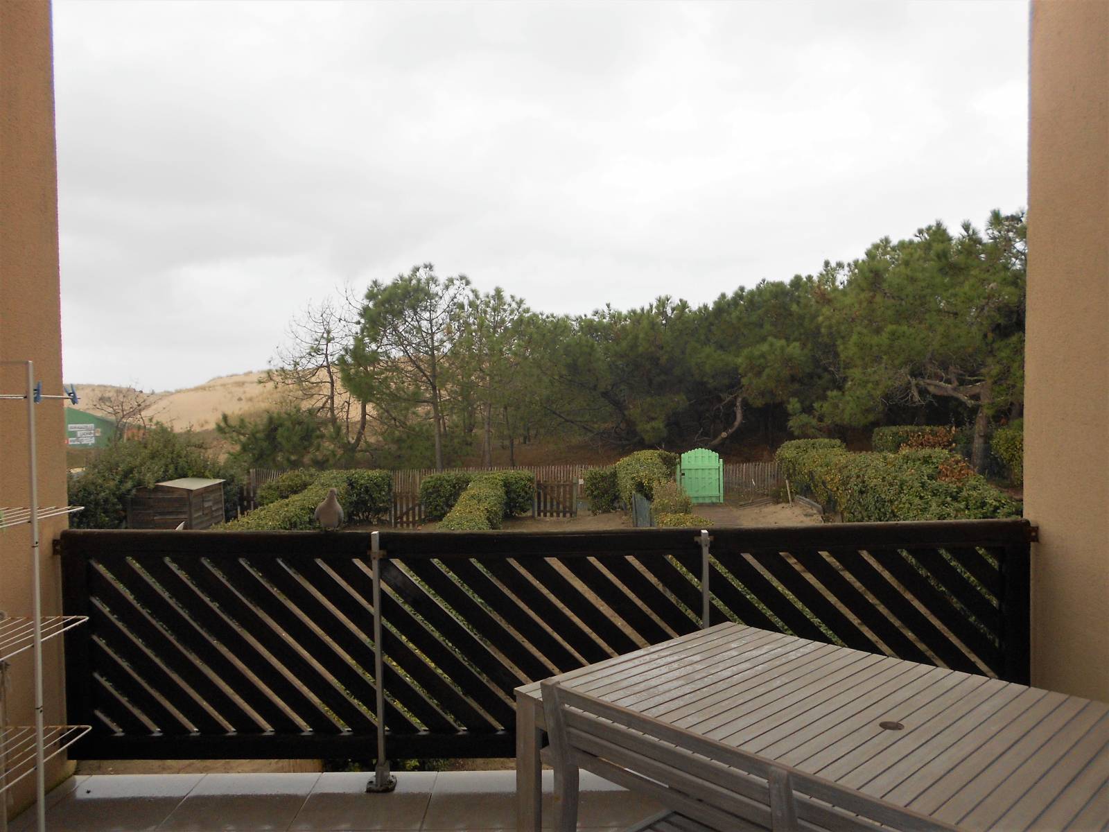 Vue sur la Dune de l'Océan