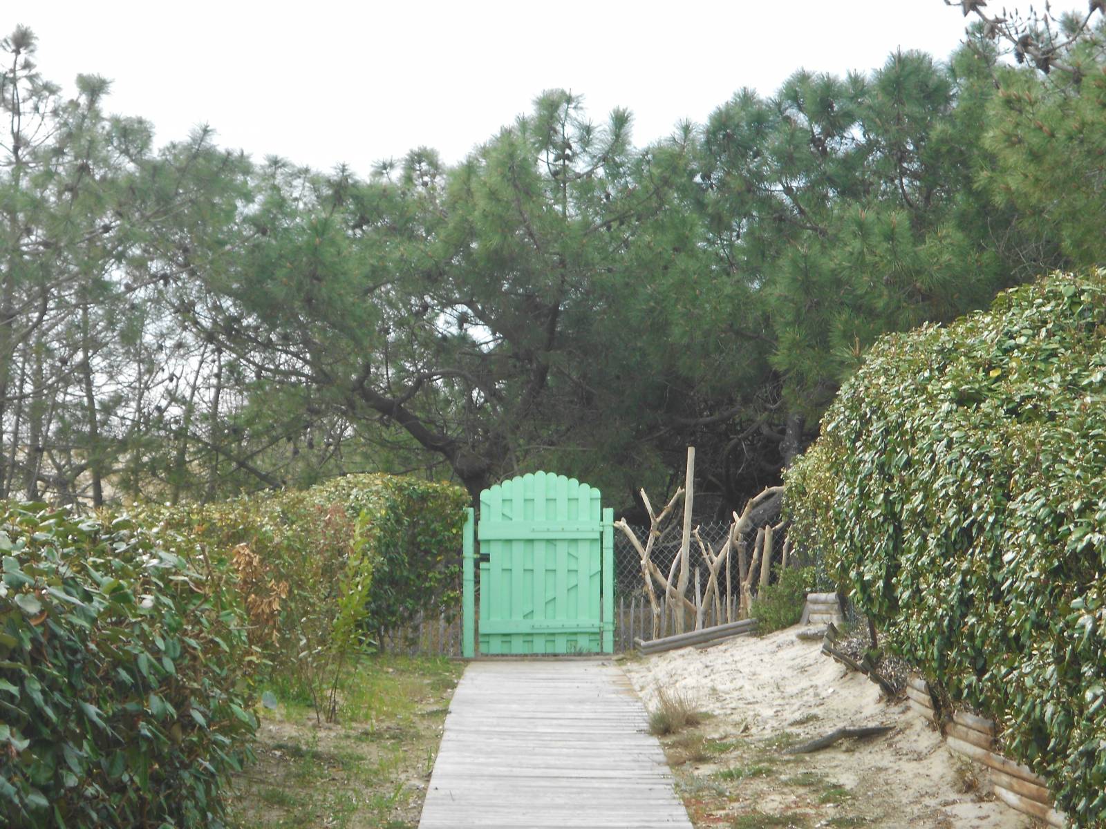 Location d'un appartement à Carcans-Plage pour 4 personnes Carcans-Plage - Maubuisson CARCANS-PLAGE 