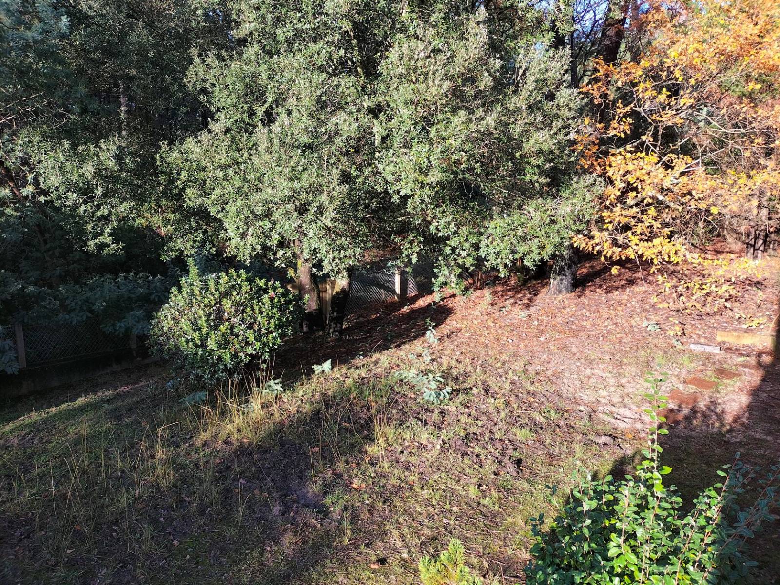 Maison individuelle LAC CARREYRE Réf. 3332