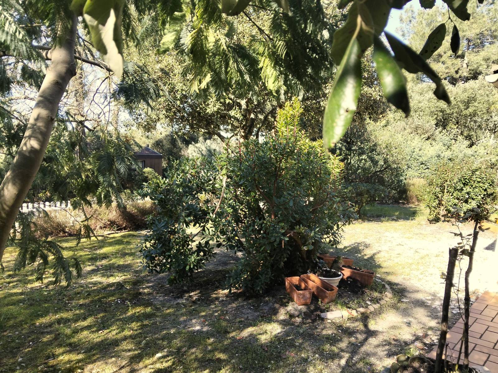 EN EXCLUSIVITE VILLA DE TROIS CHAMBRES A PROXIMITE DU LAC DE MAUBUISSON