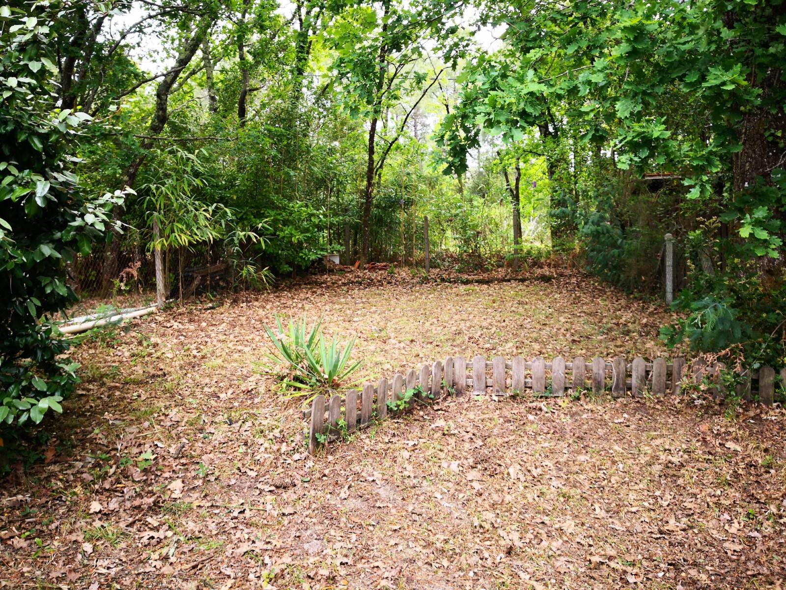 Jardin arboré et clôturé