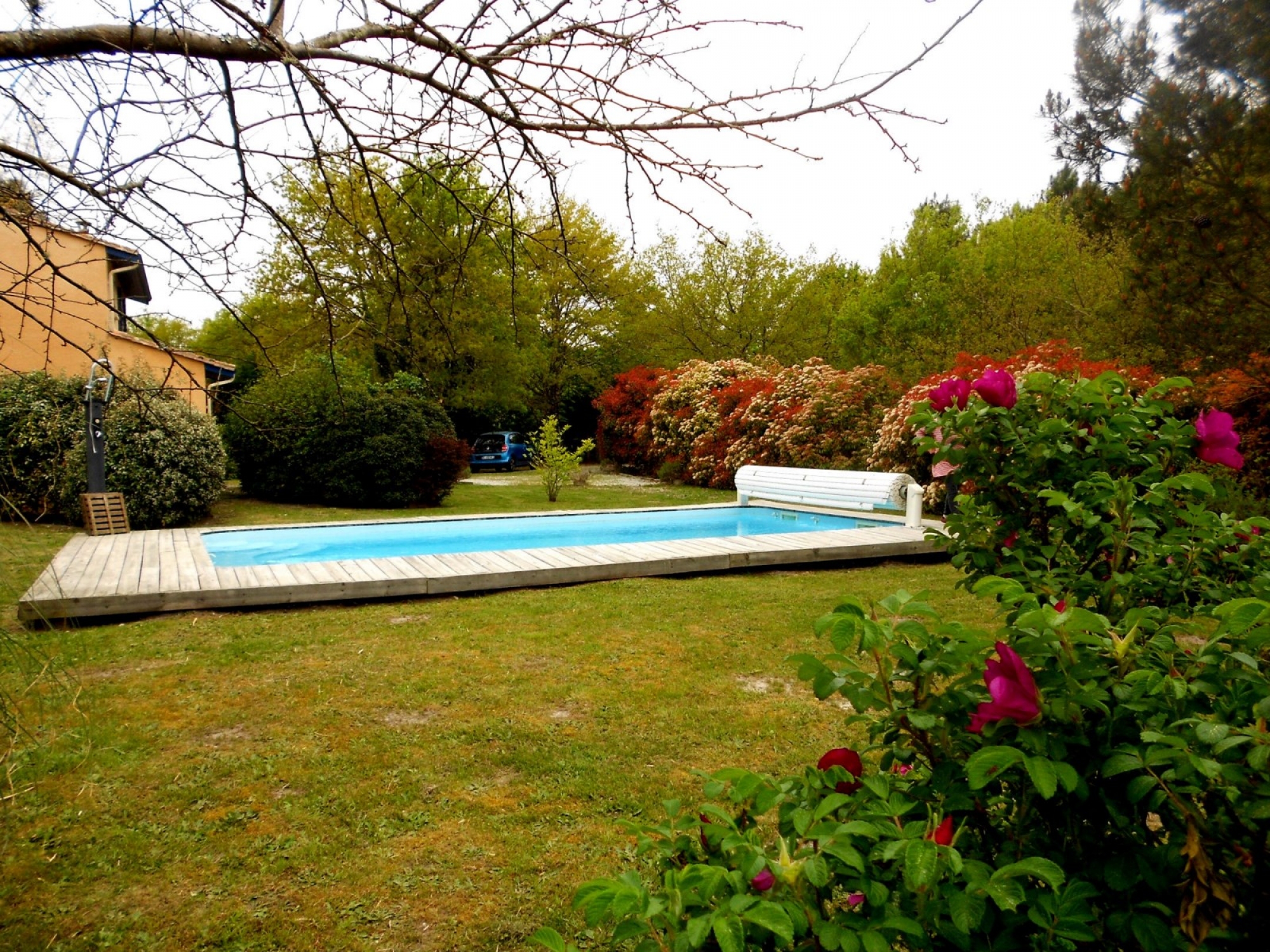 Jardin avec piscine