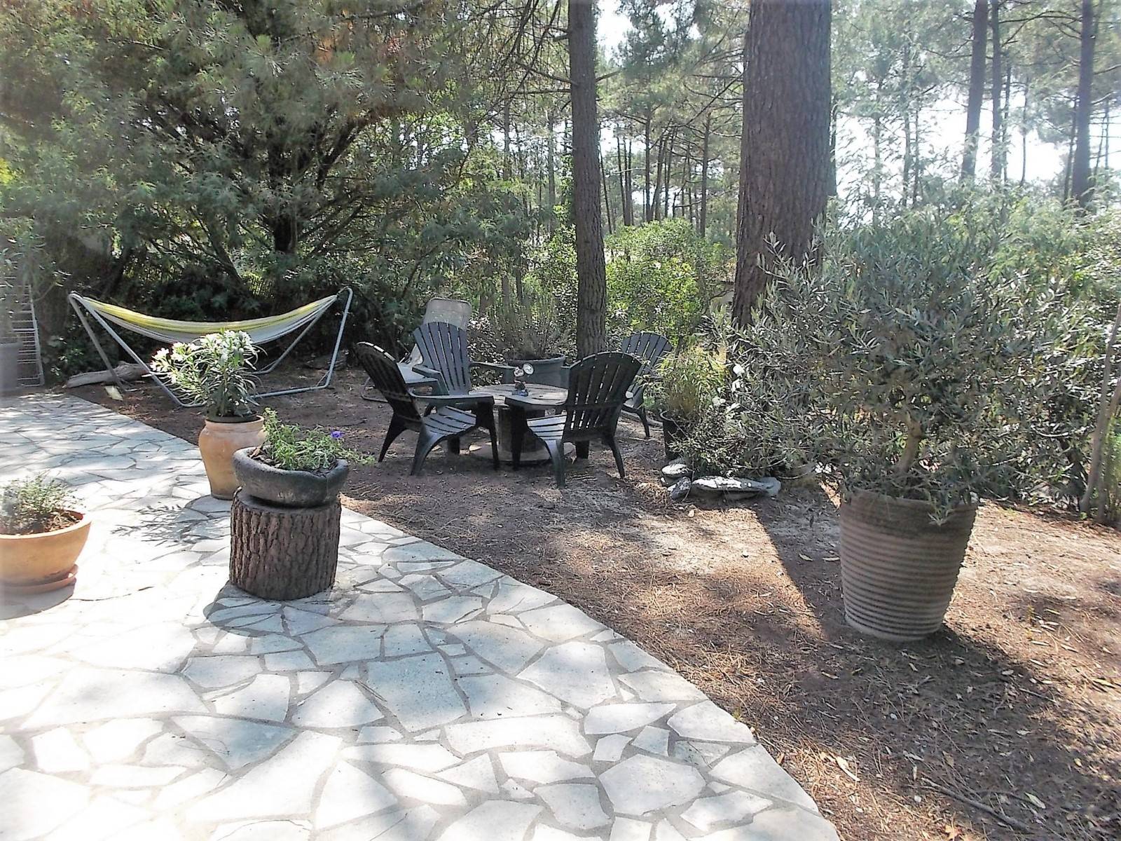 Terrasse avec vue sur la forêt
