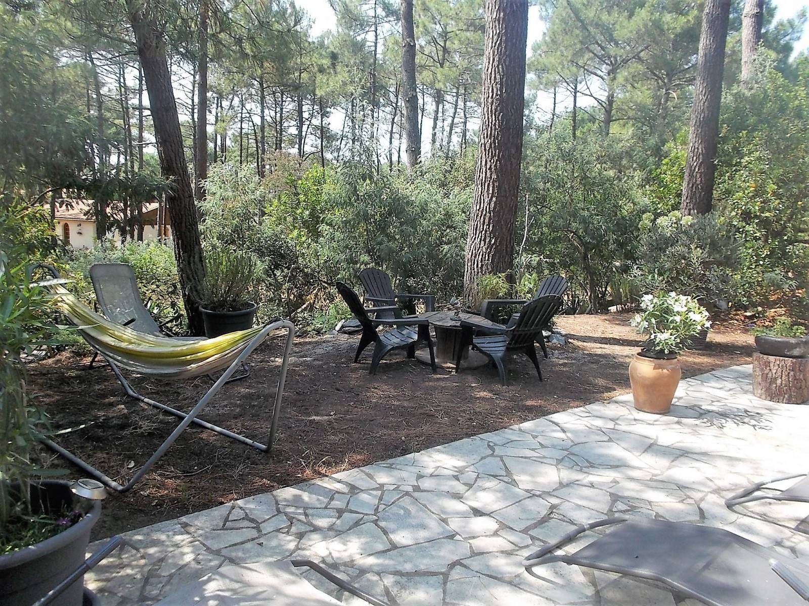 Terrasse avec vue sur la forêt