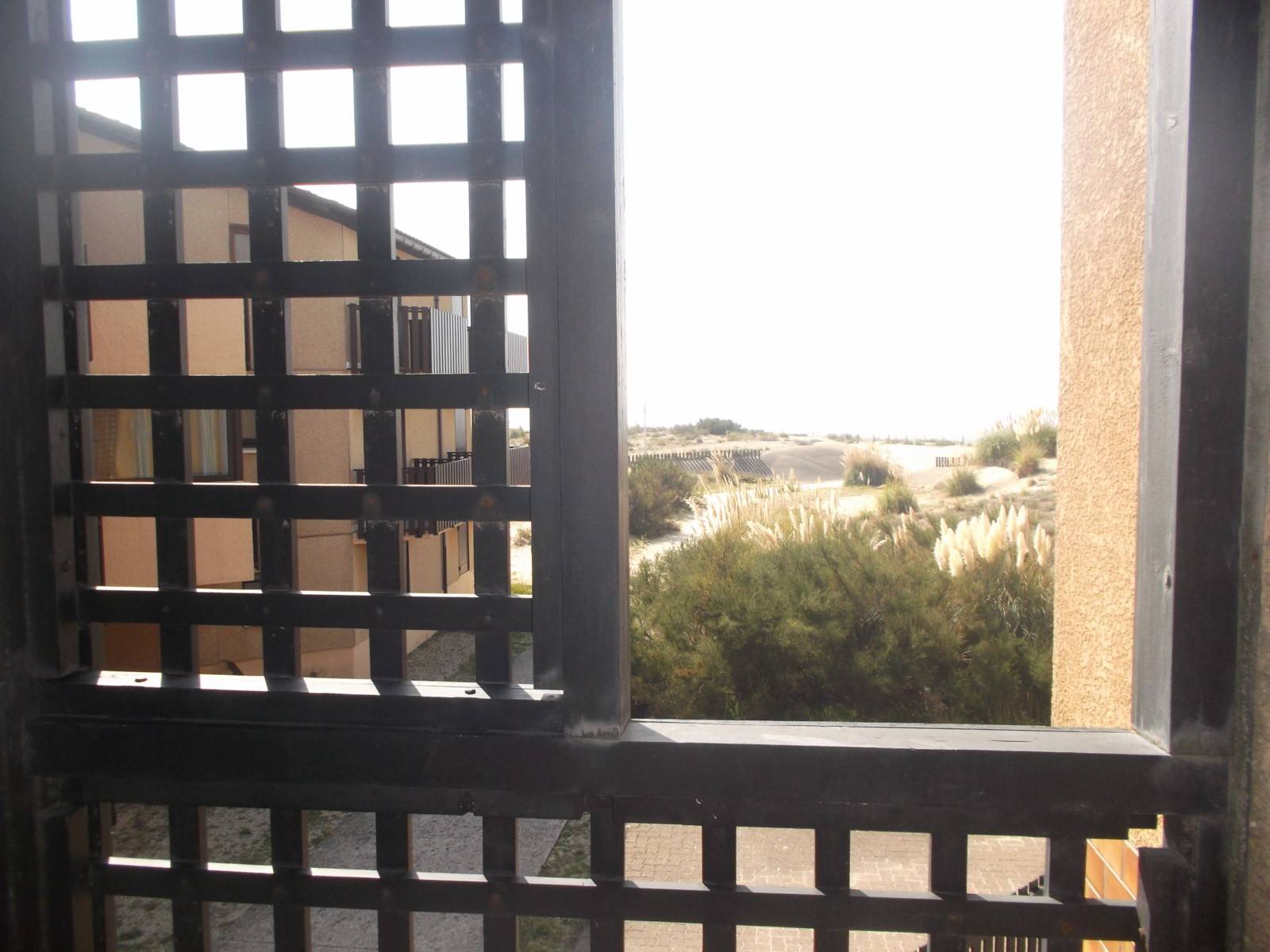 Vue sur l'Océan depuis la terrasse
