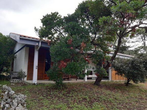 Maison individuelle avec jardin clôturé