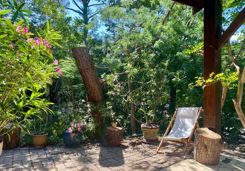 jardin