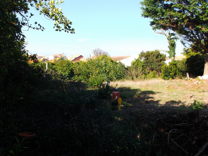 Vente Terrain Centre de Lacanau-Océan