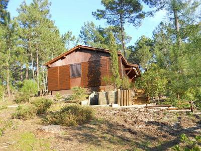 Chalet à louer dans les pins à Carcans Maubuisson entre le Lac de Maubuisson et l'Océan Atlantique, Gironde Nouvelle Aquitaine