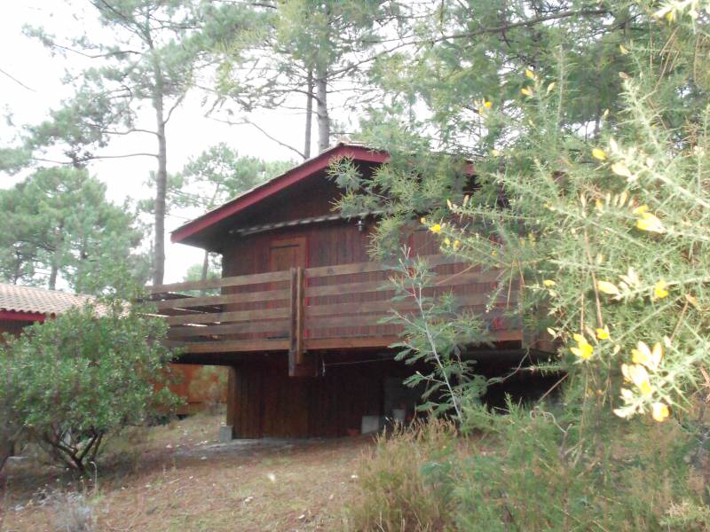 Location saisonnière chalet pour 4 personnes