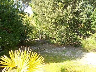 Chalet à vendre dans les pins entre le Lac de Maubuisson et Carcans-Plage Carcans Maubuisson  
