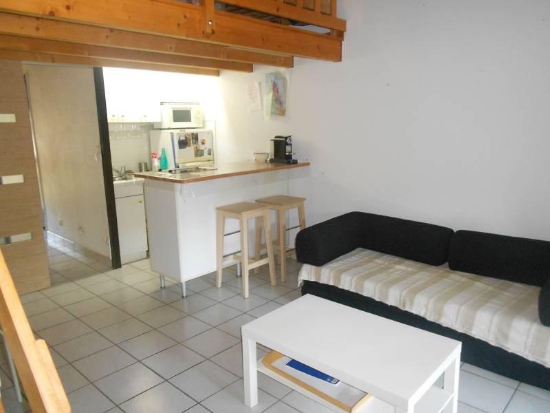 Appartement avec mezzanine et alcôve