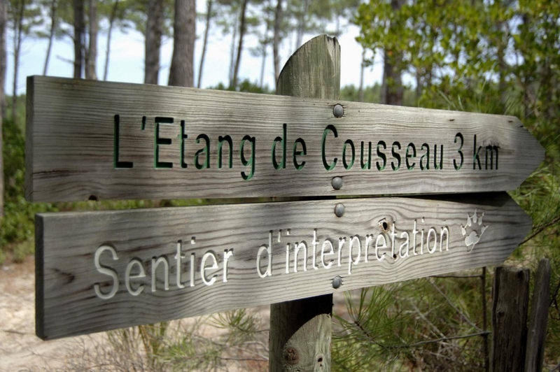 La Réserve de l'Etang du Cousseau, un écrin de nature où il fait bon remonter le temps...