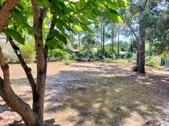 Terrain clôturé et arboré