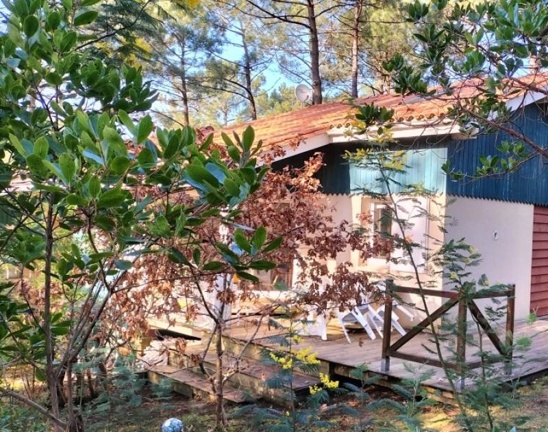 A louer joli pavillon mitoyen pour 6 personnes avec 2 places de parking à Lacanau-Océan