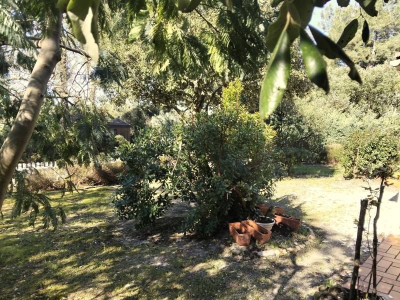 EN EXCLUSIVITE VILLA DE TROIS CHAMBRES A PROXIMITE DU LAC DE MAUBUISSON