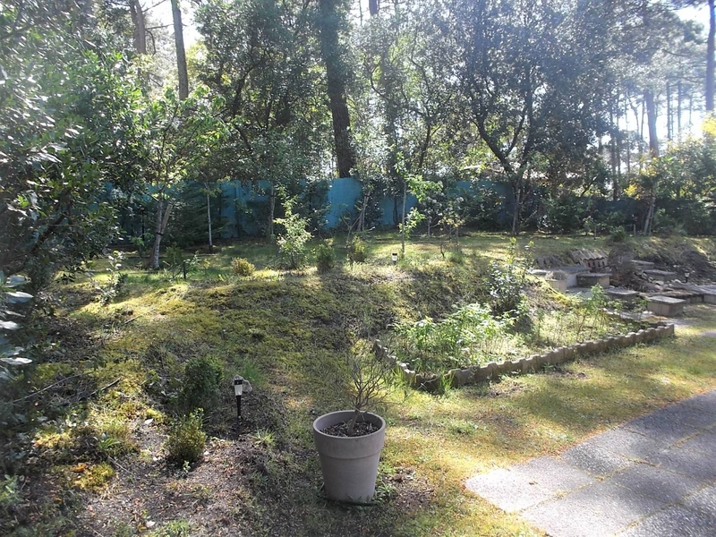 Jardin arboré et clôturé
