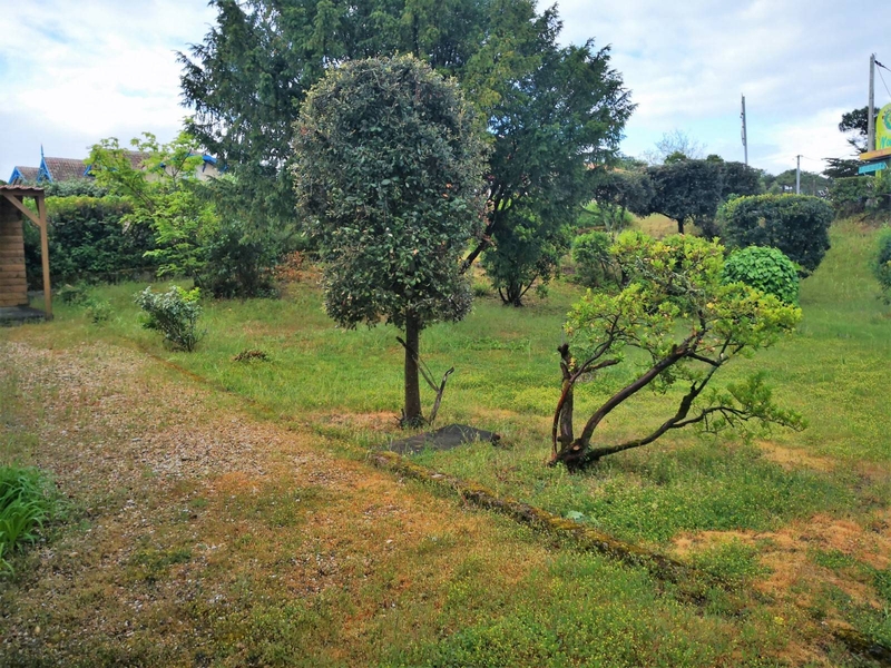 Jardin clôturé