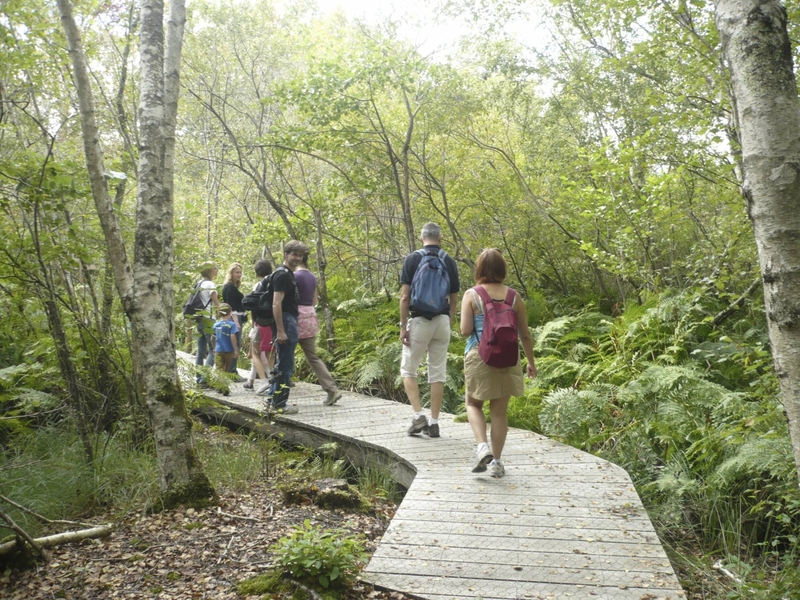 Le Sentier de la Berle : Un Sentier Naturellement Fun !