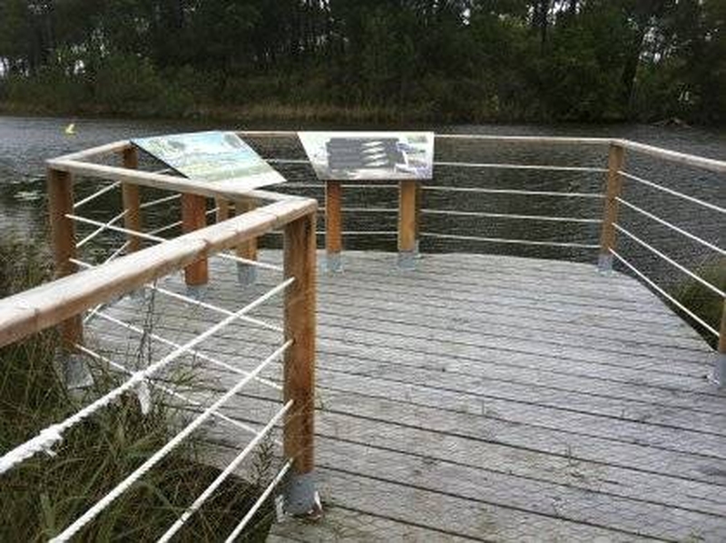 Le Sentier de la Berle : Un Sentier Naturellement Fun !