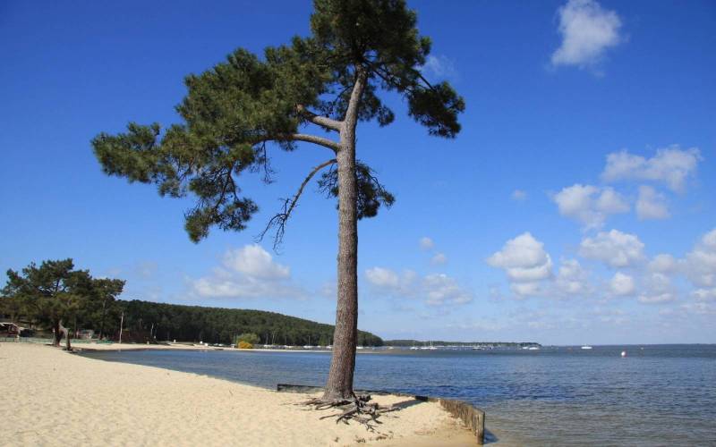 Lac de Carcans-Maubuisson