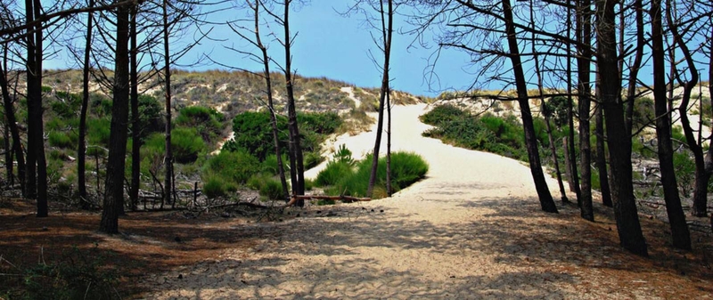 Boucle découverte du Lion