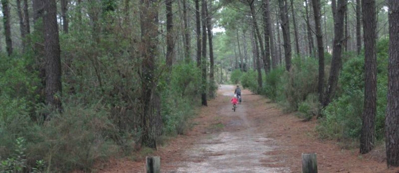 Boucle découverte du Lion
