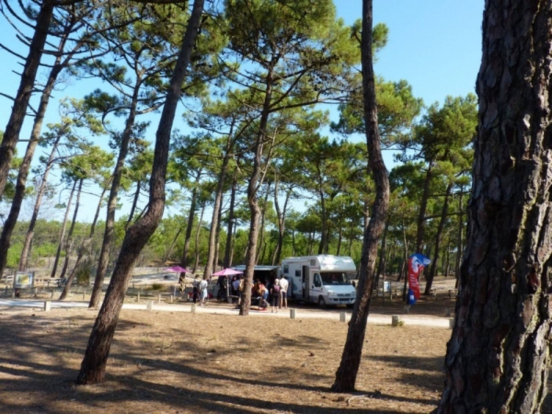 Boucle découverte du Lion