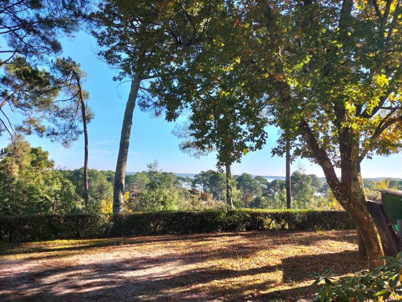 Terrain arboré avec très belle vue sur le Lac