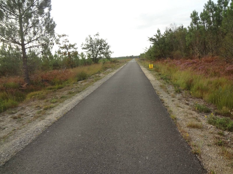 Running de 10 à 15 km à Lacanau