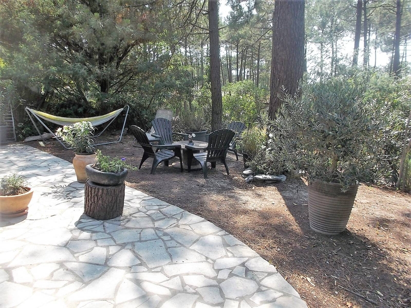 Terrasse avec vue sur la forêt