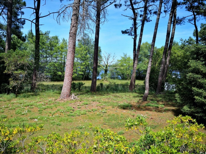 Vue sur le Lac depuis la terrasse