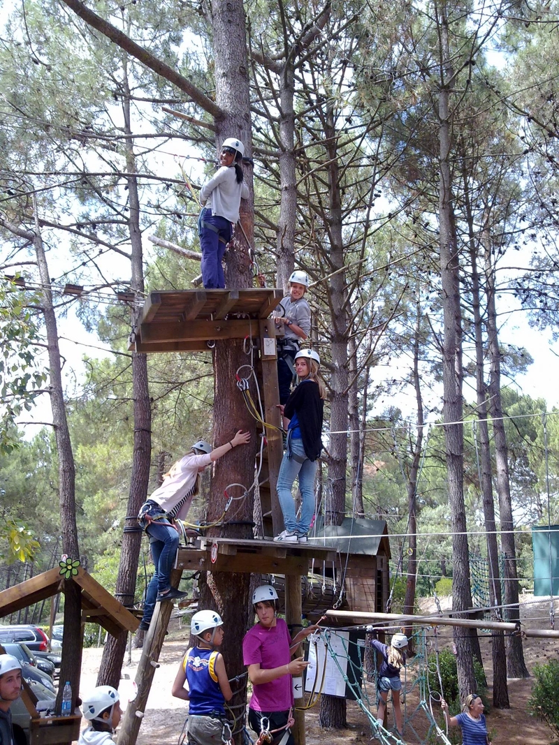 La Forêt des Accromaniaques
