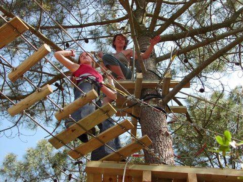 La Forêt des Accromaniaques