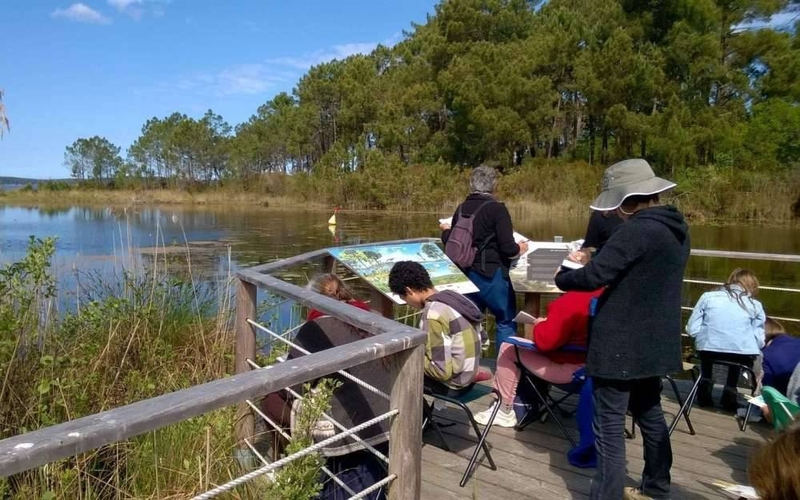 Le Sentier de la Berle : Un Sentier Naturellement Fun !