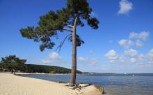 Nos prestations sur le secteur de Maubuisson