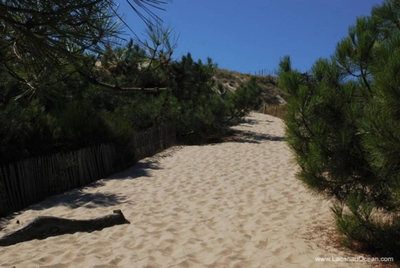Nos prestations sur le secteur de proche Castelnau-de-Médoc