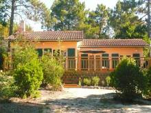 Nos prestations sur le secteur de proche Castelnau-de-Médoc